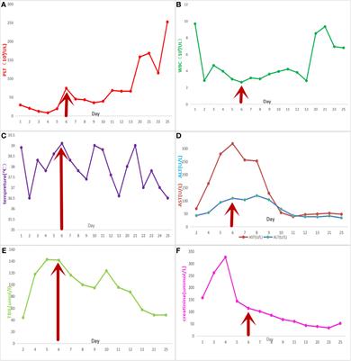 Hemophagocytic Lymphohistiocytosis Associated to Klebsiella pneumoniae Infection: A Case Report